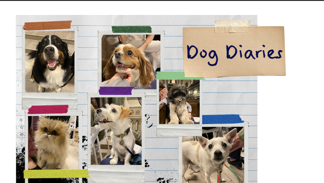 Collage of five images of dogs, and one image of a cat, taped to a piece of notebook paper. Text, also taped on, reads “Dog Diaries.”